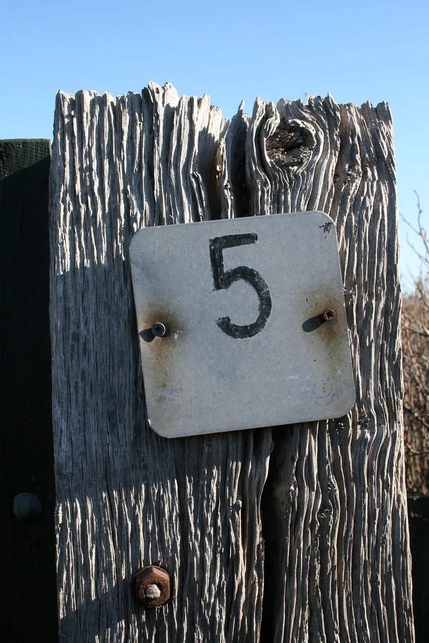 5