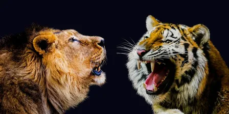 4 Fantastic Ways To Impress In A Business Meeting